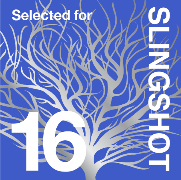 Slingshot-16-buttons-national-selected